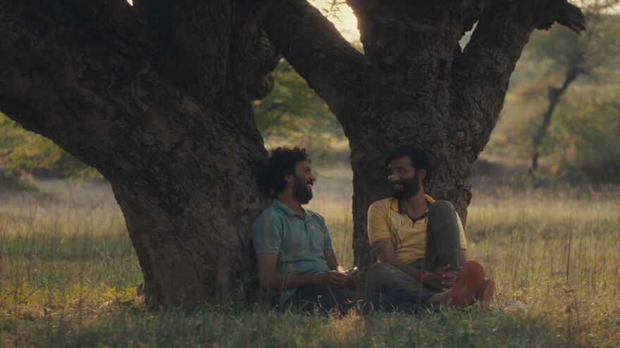 Two men sit under a tree together smiling
