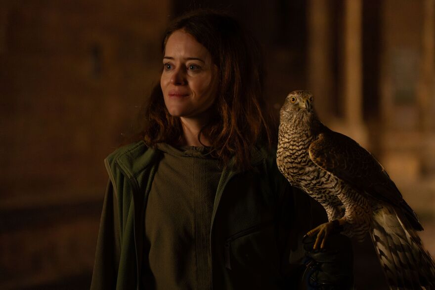 A woman smiles as she holds a goshawk. 
