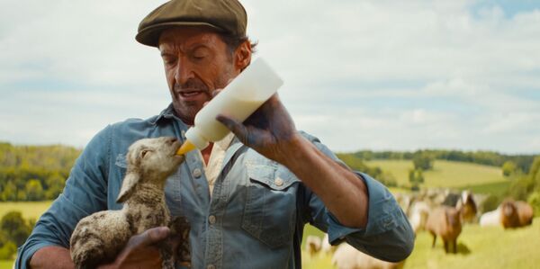 A farmer bottle feeds a lamb. 