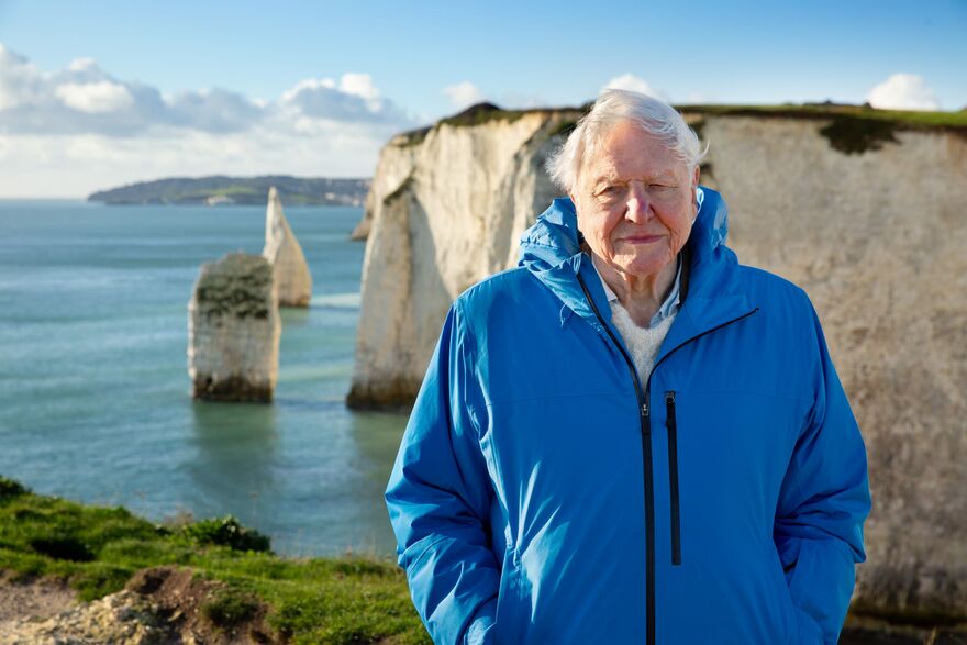 David Attenborough stands on a cliffside