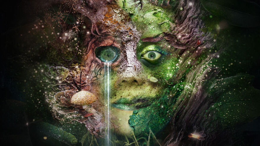 Illustration of a face made out of wood and foliage