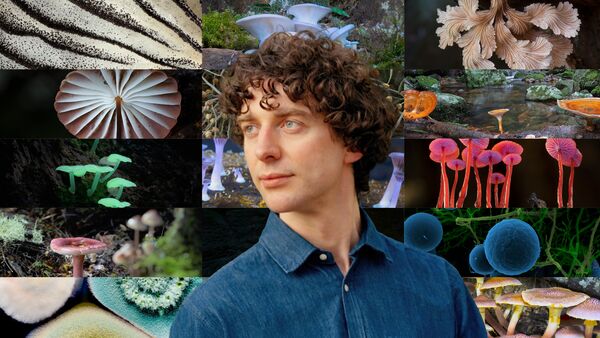 Man with curly brown hair in a blue shirt with various photos of different coloured mushrooms in background