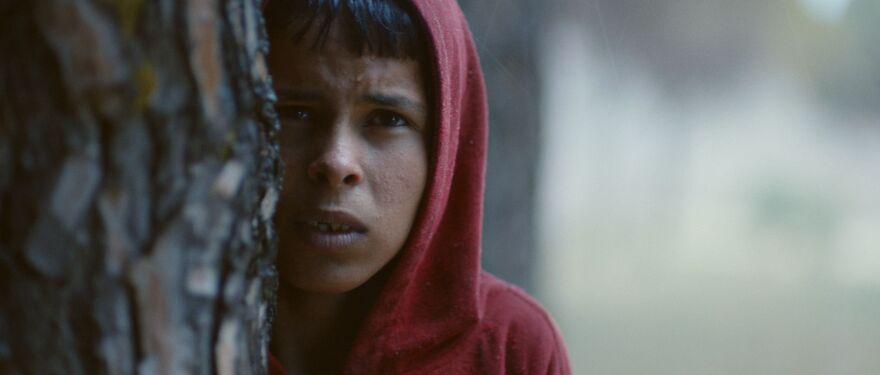 A teenage boy, wearing a red hoodie, hides behind a tree looking out.