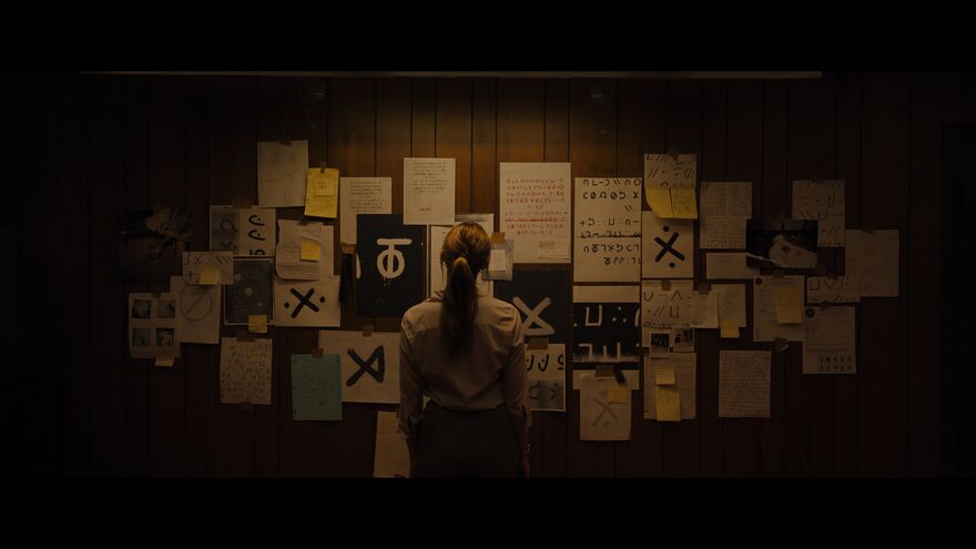A young woman with her back to camera looks at a wall covered in documents with symbols on them.