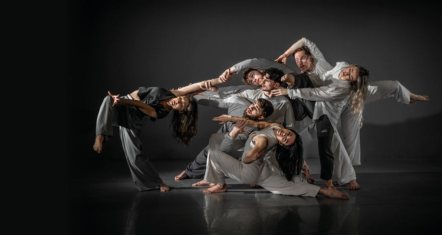 Group of dancers at different levels, intertwined 