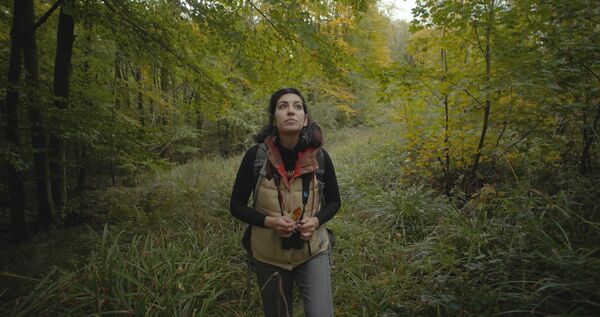 A woman walks in a woodland. 
