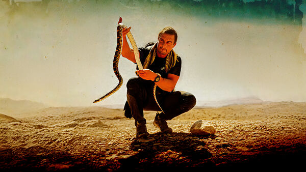 Adventurer Bear Grylls crouches in a sandy desert landscape, holding a snake in his hands.