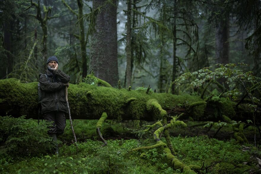 A man leans against a moss covered tree within a woodland. 