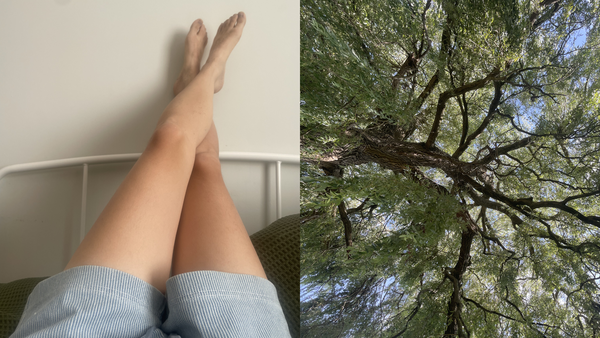 A pair of length rest against a headboard with an image of a tree adjacent to it