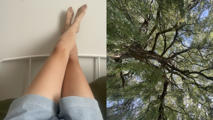 A pair of length rest against a headboard with an image of a tree adjacent to it