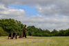 Image of dinosaur sculptures outside
