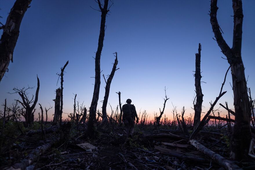 A solider walks through a decimated woodland with the sun low in the background. 