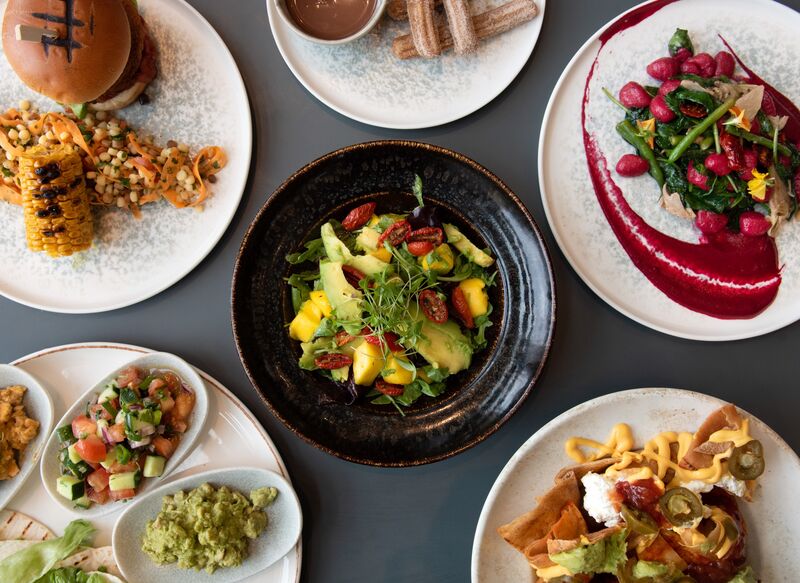 A flatlay of a selection of dishes