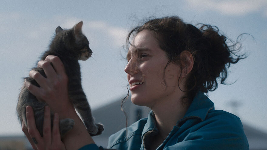 A woman holds up a kitten.