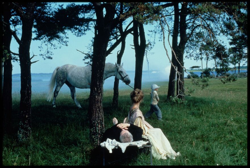 A man lies down in a wooded area next to the sea as a woman sits beside him. A child can be seen guiding a white horse in front of them. 