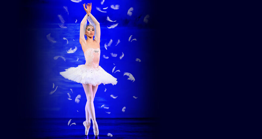 A ballet dancer performing as the Swan Queen from Swan Lake.