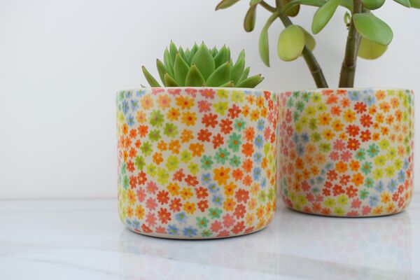 Two colourful flowery plant pots
