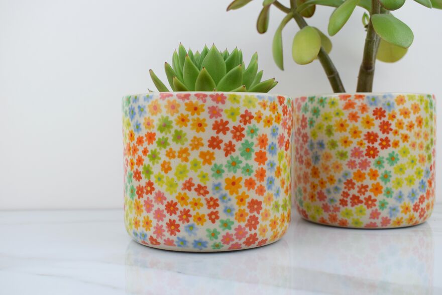 Two colourful flowery plant pots